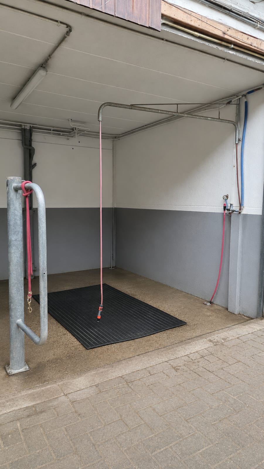 Aire de douche pour chevaux