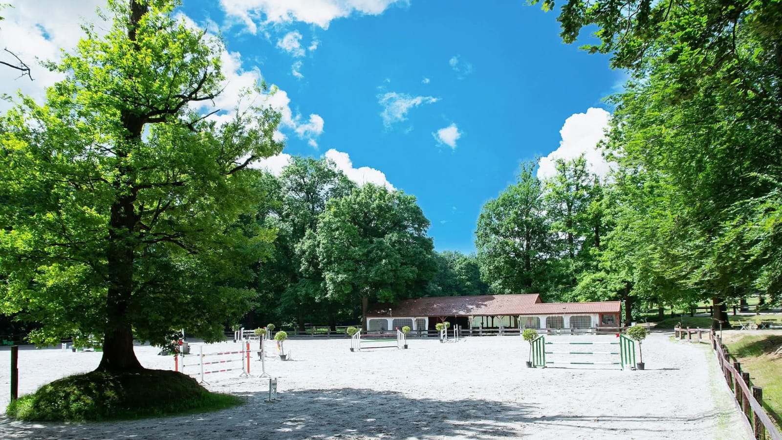 L'Arena, piste principale extérieure du domaine, entourée d'arbres