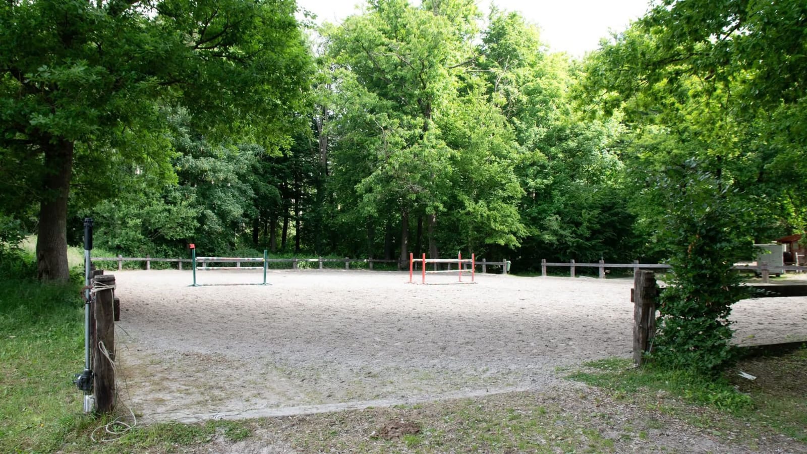 Le Carré, piste extérieure entourée d'arbres