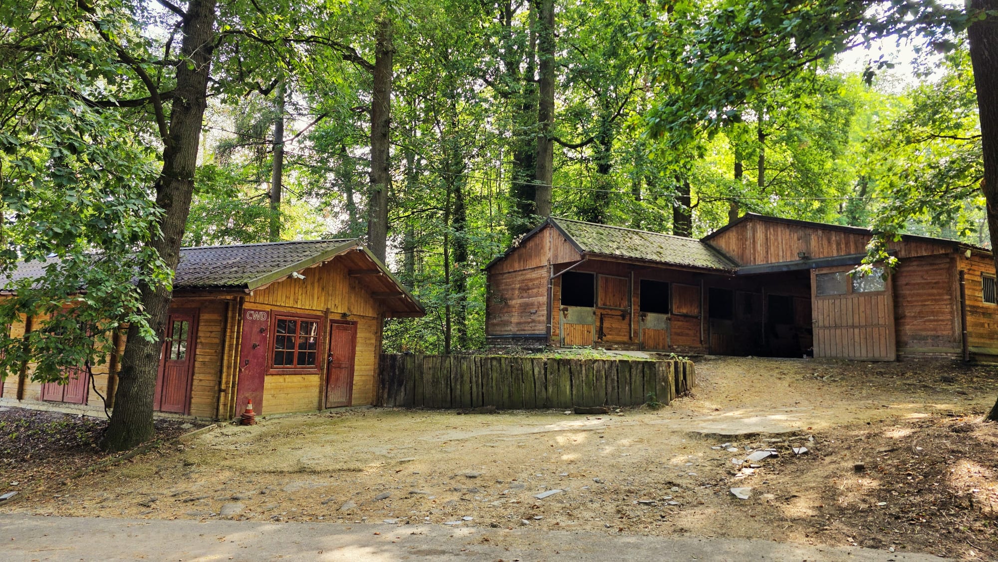 Chevaux au pré sur le domaine
